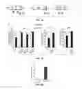 Fig. 02 - Materials and methods related to modulation of mismatch repair and genomic stability by miR-155