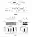 Fig. 08 - Materials and methods related to modulation of mismatch repair and genomic stability by miR-155