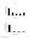 Fig. 07 - Therapeutic compositions