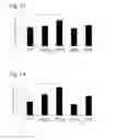 Fig. 08 - ANORECTIC AGENT