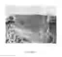 Fig. 02 - Composite material for tissue repair