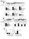 Fig. 05 - METHODS RELATING TO IDENTIFICATION OF SUSCEPTIBILITY TO LIVER INJURY