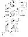 Fig. 06 - METHODS RELATING TO IDENTIFICATION OF SUSCEPTIBILITY TO LIVER INJURY