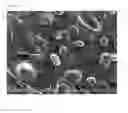 Fig. 06 - Thermoplastic elastomer composition
