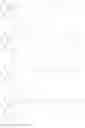 Fig. 07 - N-Terminally Modified Insulin Derivatives