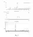 Fig. 08 - Method for stabilizing polypeptide into alpha helix