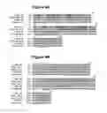 Fig. 09 - Antibodies specific for trop-2 and their uses