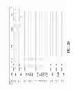 Fig. 08 - NUCLEIC ACID ENCODING ANTIGEN BINDING PROTEINS TO PROPROTEIN CONVERTASE SUBTILISIN KEXIN TYPE 9 (PCSK9)