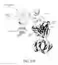Fig. 136 - Antigen binding proteins to proprotein convertase subtilisin kexin type 9 (PCSK9)