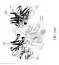 Fig. 125 - Antigen binding proteins to proprotein convertase subtilisin kexin type 9 (PCSK9)