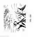 Fig. 126 - Antigen binding proteins to proprotein convertase subtilisin kexin type 9 (PCSK9)
