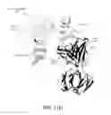 Fig. 136 - Antigen binding proteins to proprotein convertase subtilisin kexin type 9 (PCSK9)