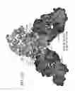 Fig. 148 - Antigen binding proteins to proprotein convertase subtilisin kexin type 9 (PCSK9)