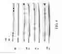 Fig. 94 - Antigen binding proteins to proprotein convertase subtilisin kexin type 9 (PCSK9)