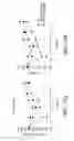 Fig. 95 - Antigen binding proteins to proprotein convertase subtilisin kexin type 9 (PCSK9)