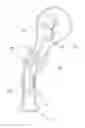 Fig. 01 - HIGH TORQUE PERSONAL MASSAGER