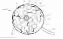 Fig. 01 - Cardiac ablation catheters and methods of use thereof