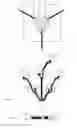 Fig. 07 - Cardiac ablation catheters and methods of use thereof