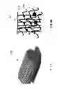 Fig. 05 - Tissue-integrating electronic apparatus
