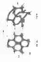 Fig. 06 - Tissue-integrating electronic apparatus
