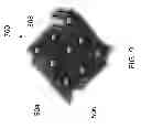 Fig. 08 - Tissue-integrating electronic apparatus
