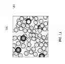 Fig. 10 - Tissue-integrating electronic apparatus