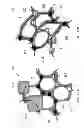 Fig. 11 - Tissue-integrating electronic apparatus