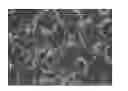 Fig. 01 - Biocompatible implantable electrode