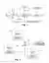 Fig. 02 - System and Method for Collecting Eye-Movement Data