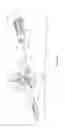 Fig. 83 - Safety blood collection assembly with indicator