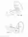 Fig. 10 - DEVICE FOR APPLYING A PULSATING PRESSURE TO A LOCAL REGION OF THE BODY AND APPLICATIONS THEREOF