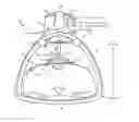 Fig. 01 - METHOD AND DEVICE FOR MECHANICAL CHEST COMPRESSION WITH OPTICAL ALIGNMENT
