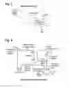 Fig. 03 - ARTERIOVENOUS FISTULA