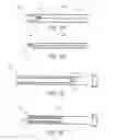 Fig. 02 - METHODS FOR TOPOSCOPIC SLEEVE DELIVERY