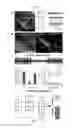 Fig. 08 - Expression vector comprising a nucleotide sequence encoding a light-activated ion channel protein (VChR1) and implantable device thereof