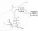 Fig. 01 - Selective fat removal using NIR light and nanoparticles