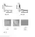 Fig. 04 - Selective fat removal using NIR light and nanoparticles
