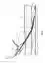 Fig. 06 - Devices for creation of multiple vascular access sites