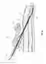 Fig. 07 - Devices for creation of multiple vascular access sites