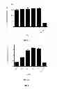 Fig. 02 - COMPOSITION, THE NANO-EMULSION AND TRANSDERMAL PATCH, METHODS OF PREPARATION AND USE THEREOF FOR TREATING TRAUMATIC INJURIES