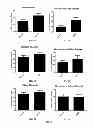 Fig. 04 - COMPOSITION, THE NANO-EMULSION AND TRANSDERMAL PATCH, METHODS OF PREPARATION AND USE THEREOF FOR TREATING TRAUMATIC INJURIES