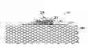 Fig. 01 - PROPHYLACTIC DRESSING AND USE OF SAME IN THE PREVENTION OF INFECTION