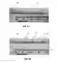 Fig. 06 - MICROWAVE TREATMENT DEVICES AND METHODS