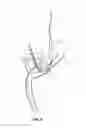 Fig. 06 - Method and apparatus for providing arthroscopic microfracture therapy