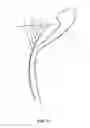 Fig. 12 - Method and apparatus for providing arthroscopic microfracture therapy