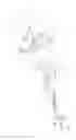 Fig. 08 - Oval tibia guide
