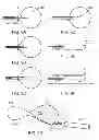 Fig. 09 - INTRAOCULAR LENS PERIPHERAL SURGICAL SYSTEMS