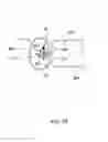 Fig. 22 - Device and method for endoluminal therapy