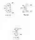 Fig. 12 - Apparatus and methods for occluding an anatomical structure