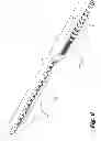 Fig. 09 - Intraneural Implant